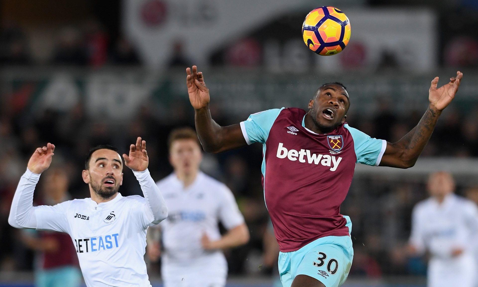 美国女篮的 美国女篮的